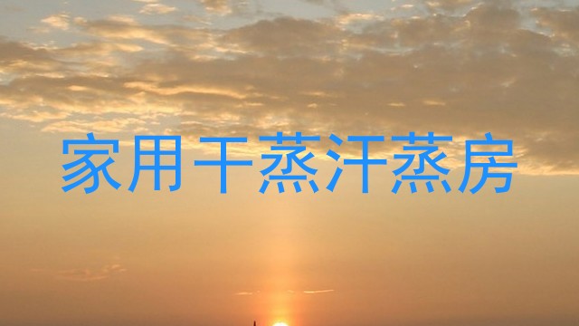 家用干蒸汗蒸房