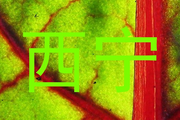 西宁