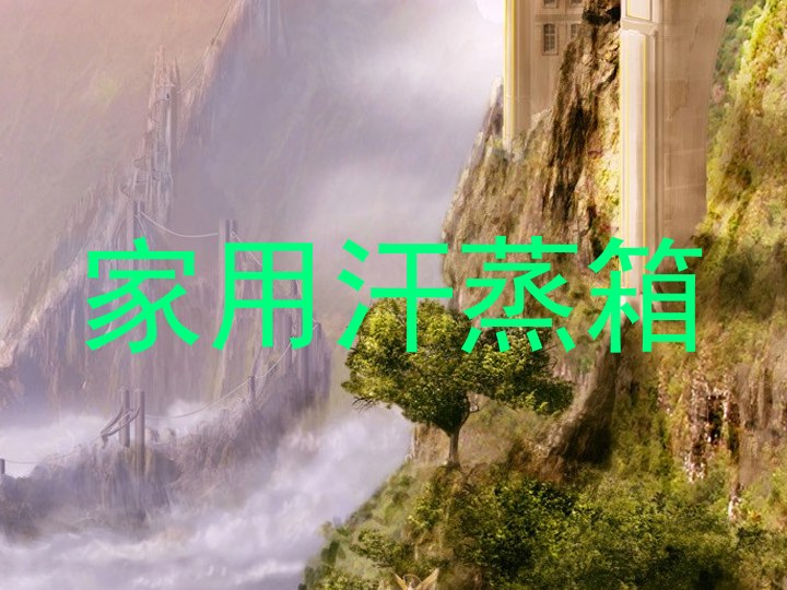 家用汗蒸箱