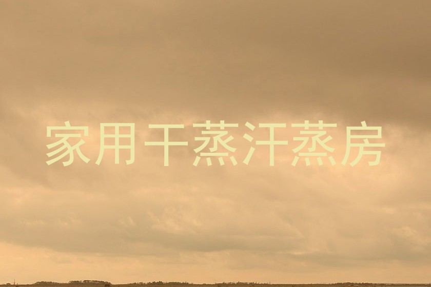 家用干蒸汗蒸房