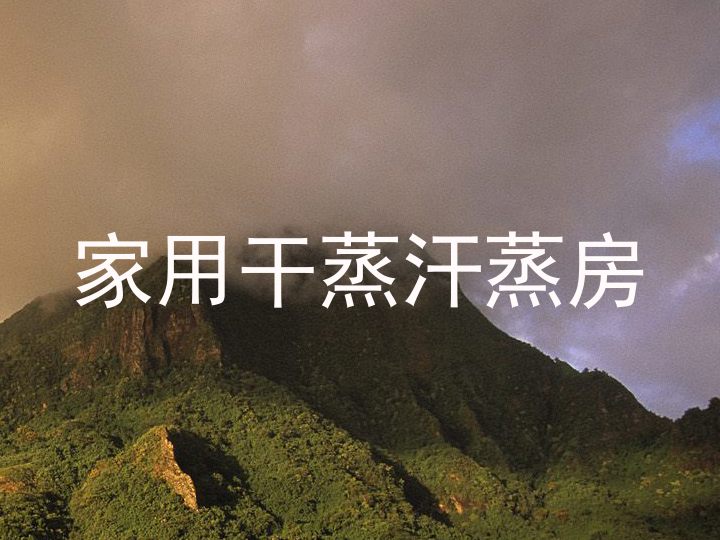 家用干蒸汗蒸房