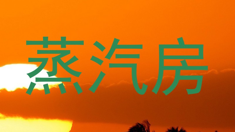 蒸汽房