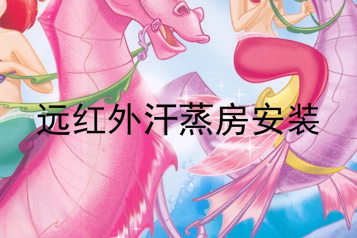 远红外汗蒸房安装