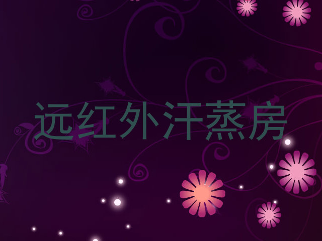 远红外汗蒸房
