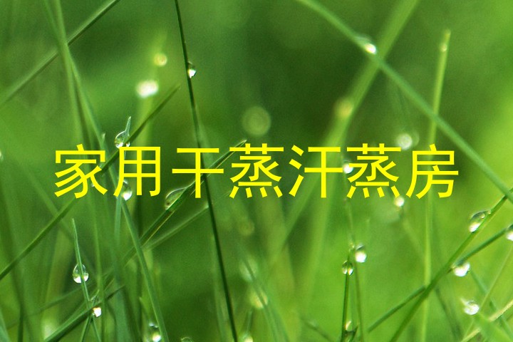 家用干蒸汗蒸房