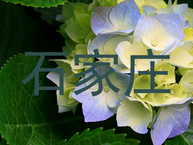 石家庄