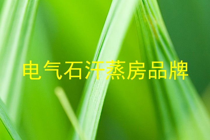 电气石汗蒸房品牌