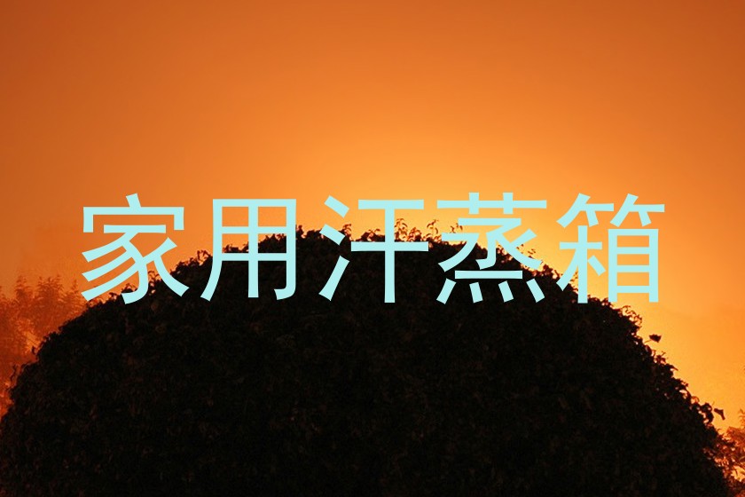 家用汗蒸箱