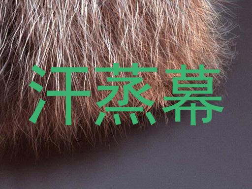 汗蒸幕