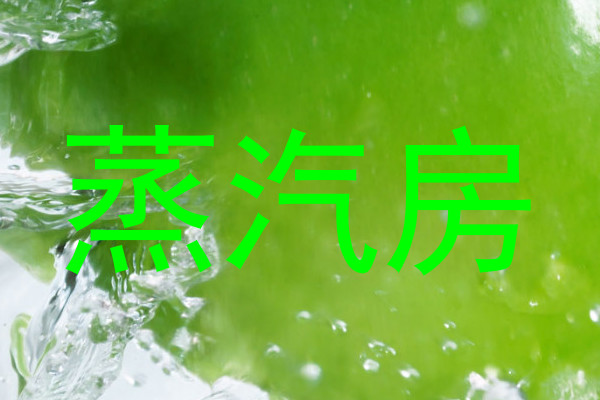 蒸汽房