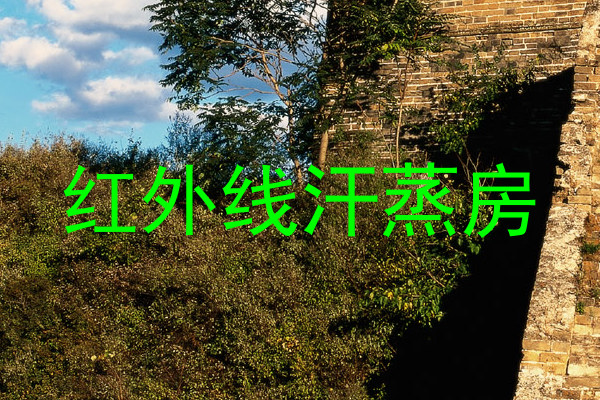 红外线汗蒸房