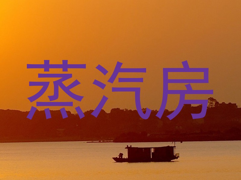 蒸汽房