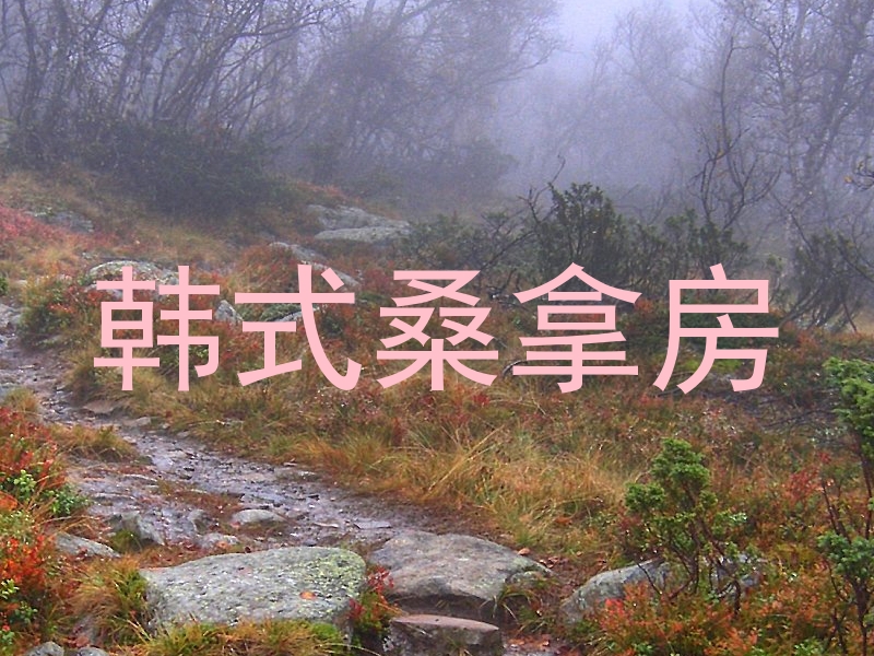韩式桑拿房