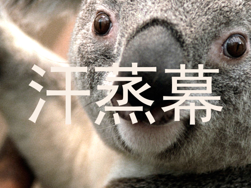 汗蒸幕