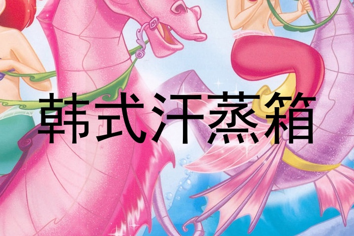 韩式汗蒸箱