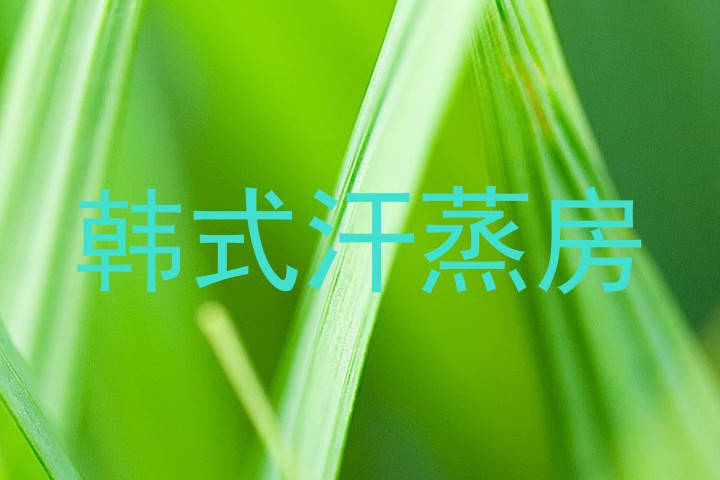 韩式汗蒸房