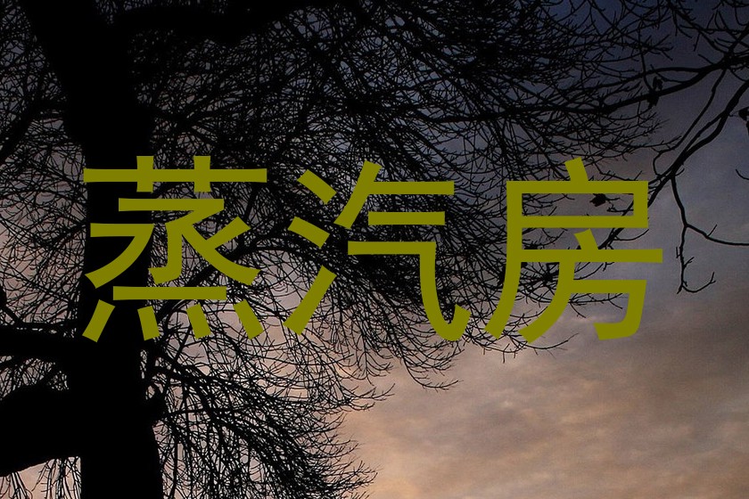 蒸汽房