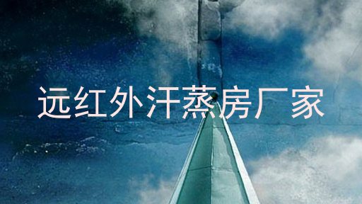 远红外汗蒸房厂家
