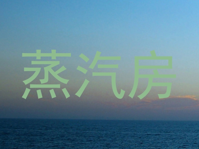 蒸汽房