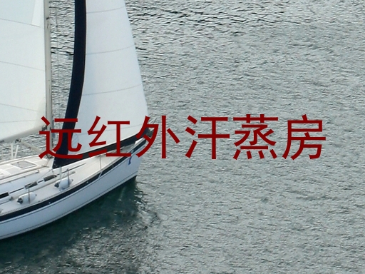 远红外汗蒸房
