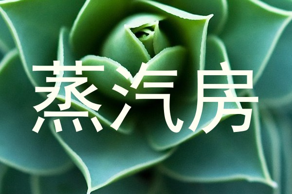 蒸汽房