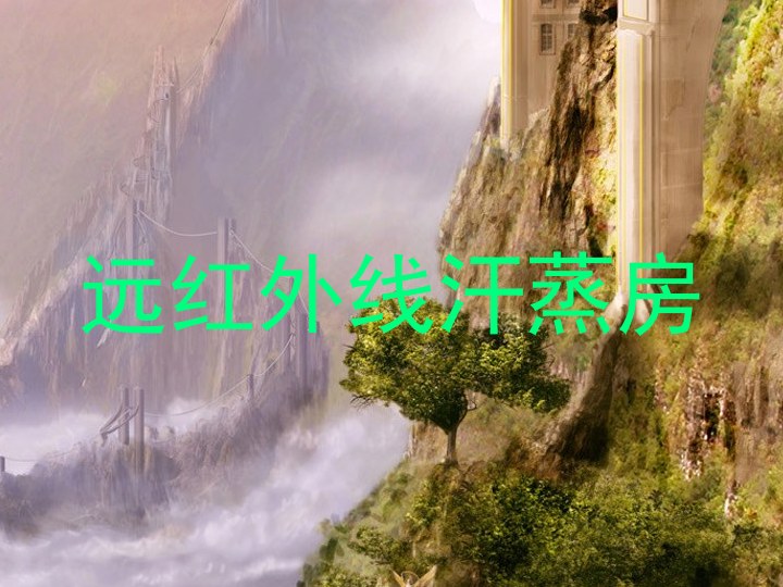 远红外线汗蒸房