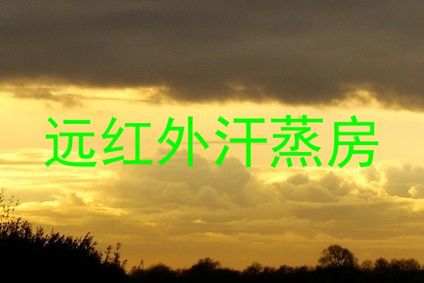 远红外汗蒸房