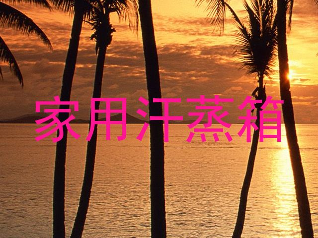 家用汗蒸箱