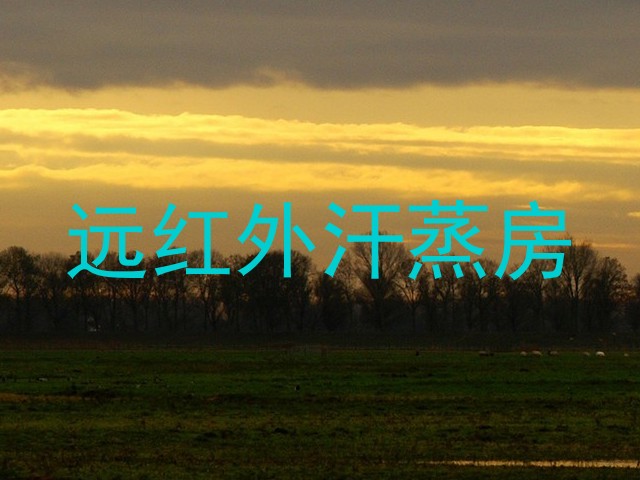 远红外汗蒸房