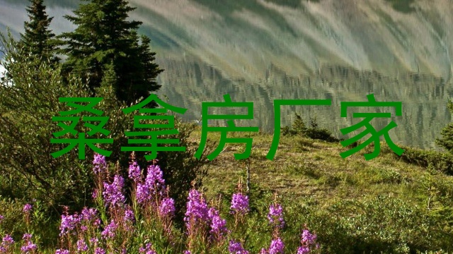 桑拿房厂家