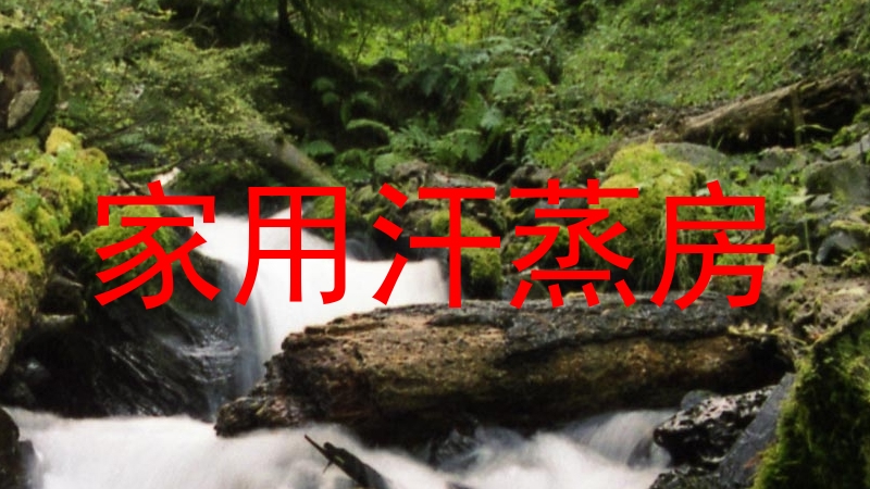 家用汗蒸房