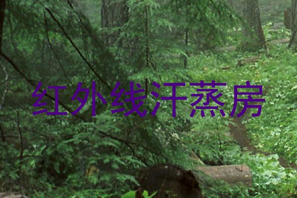 红外线汗蒸房