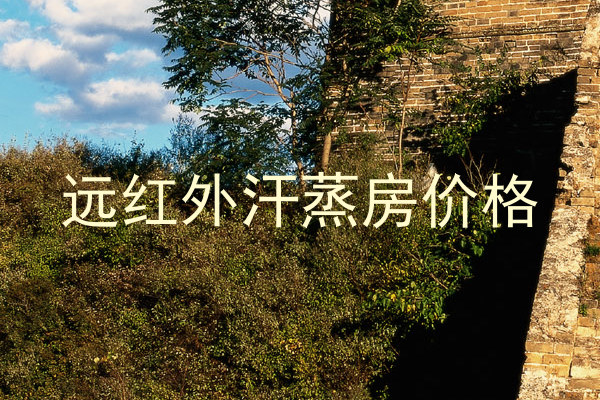远红外汗蒸房价格