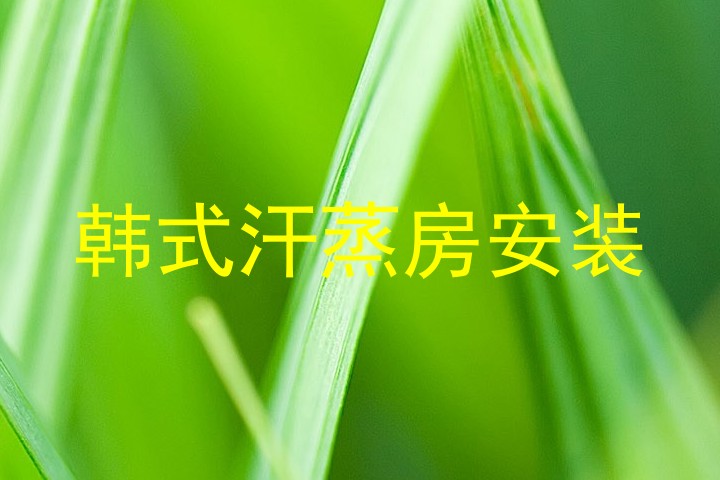 韩式汗蒸房安装