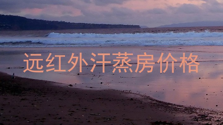 远红外汗蒸房价格