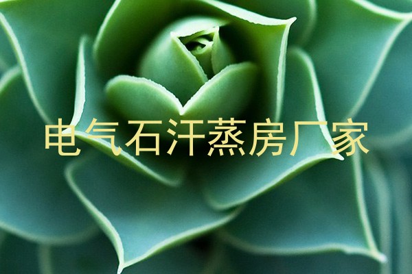电气石汗蒸房厂家