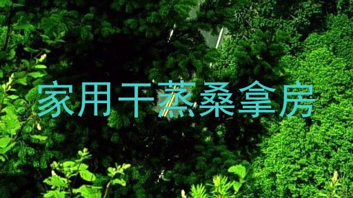家用干蒸桑拿房
