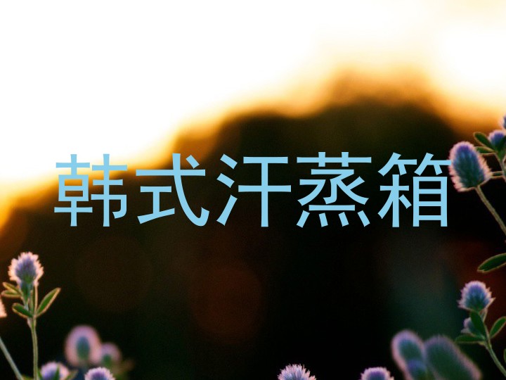 韩式汗蒸箱