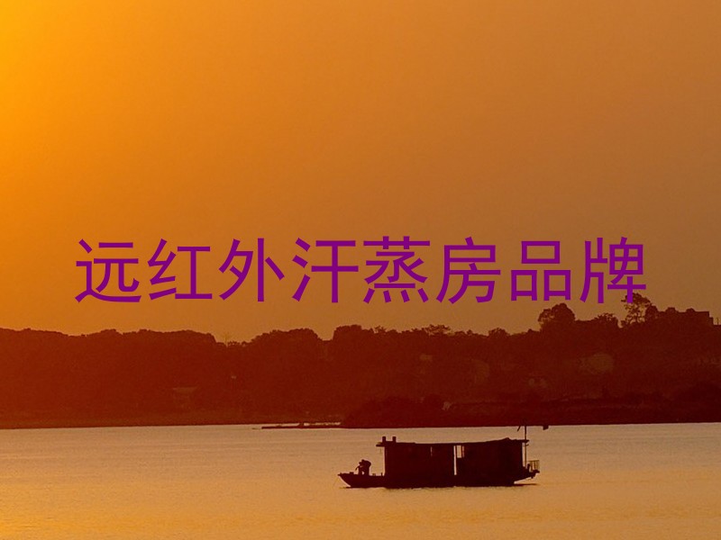 远红外汗蒸房品牌