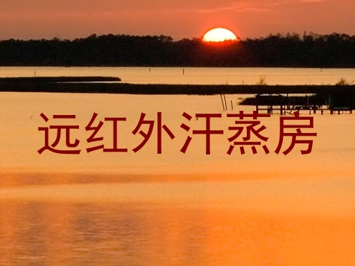 远红外汗蒸房
