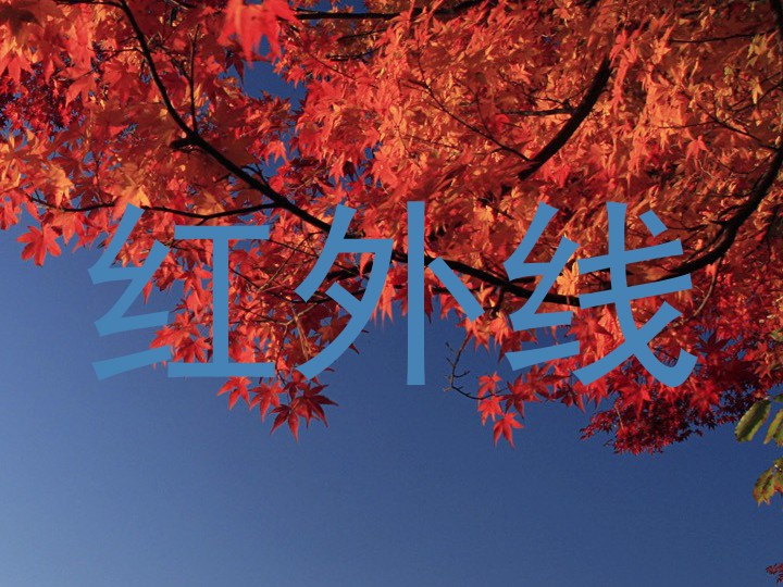 红外线