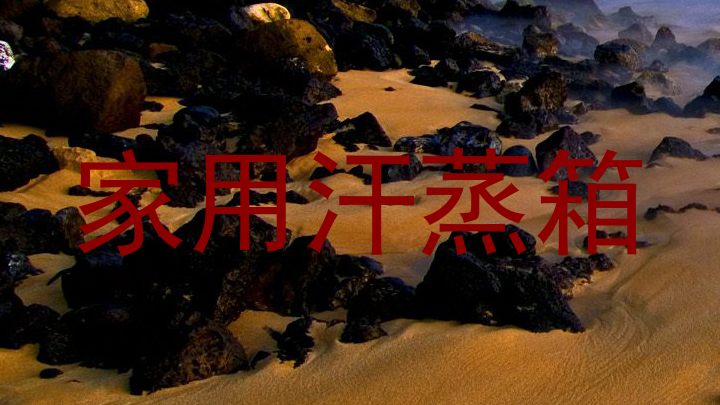 家用汗蒸箱
