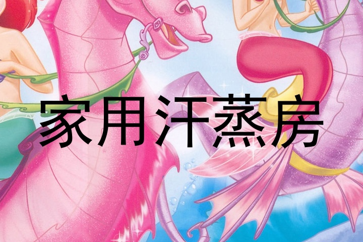 家用汗蒸房