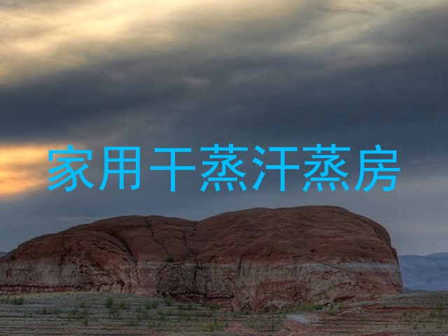 家用干蒸汗蒸房