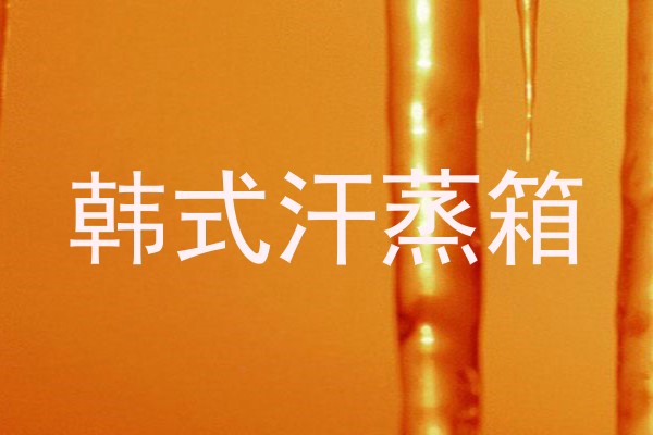 韩式汗蒸箱