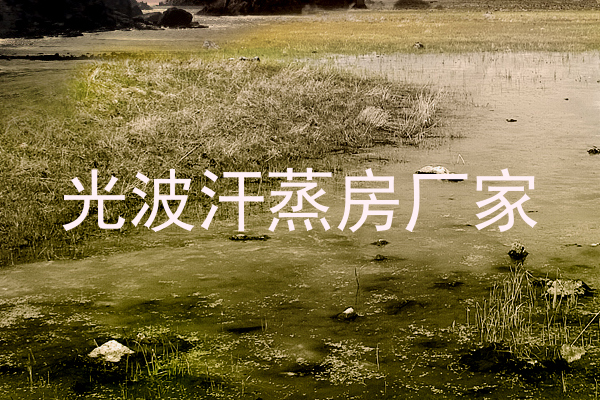 光波汗蒸房厂家