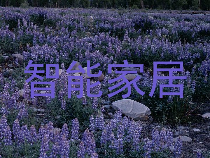 智能家居