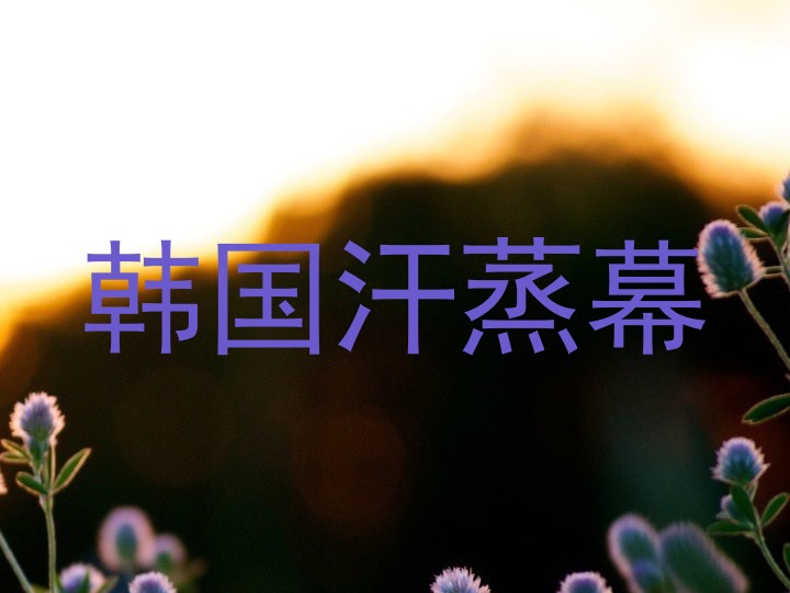 韩国汗蒸幕