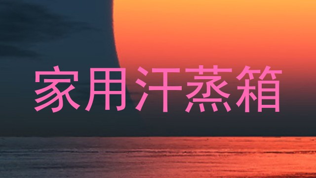 家用汗蒸箱
