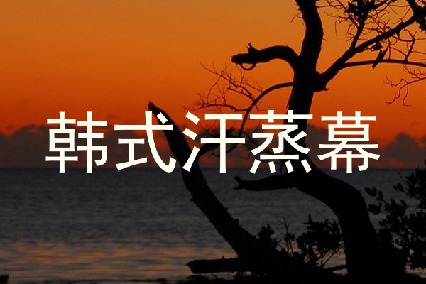 韩式汗蒸幕